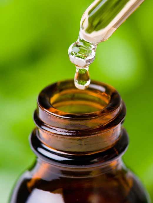 Extractos vegeteales